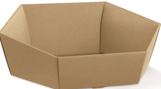 corbeilles en carton